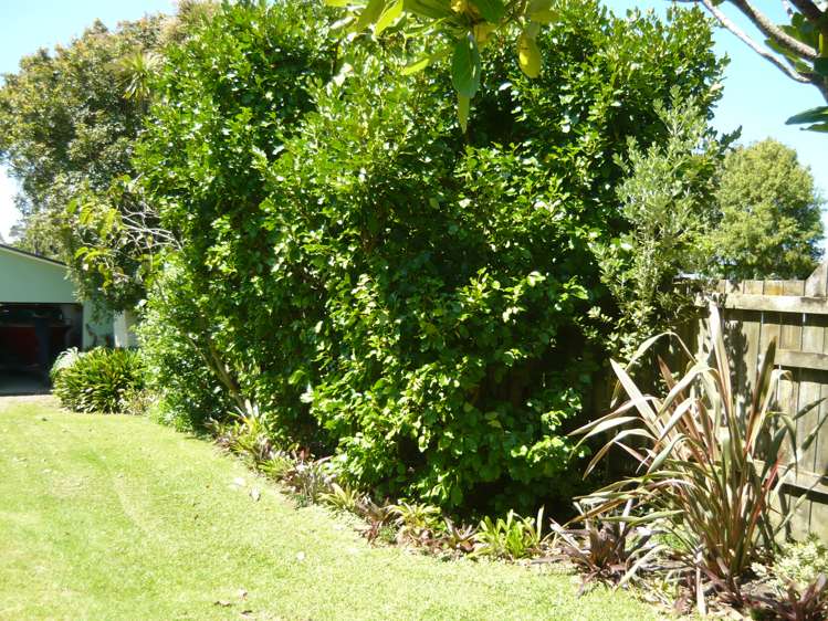 46 Sandy Beach Road Tinopai_10