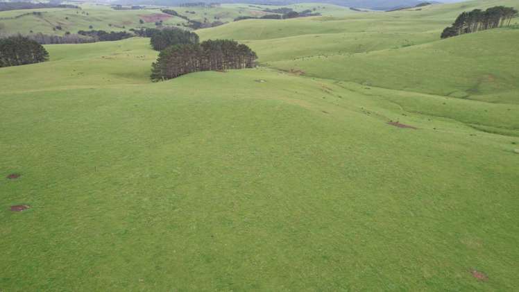 3902 State Highway 12 Dargaville Surrounds_13