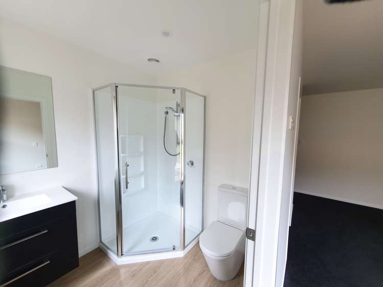 22a Carey Street Kihikihi_14