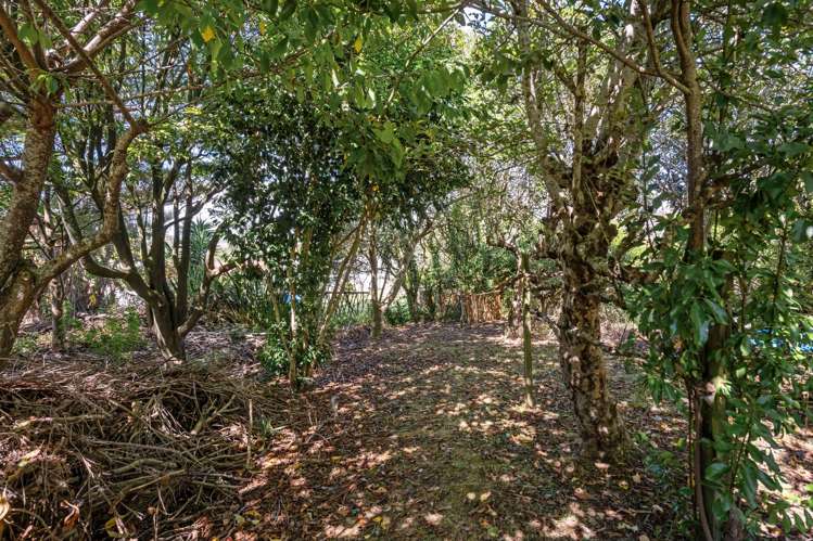 88 Murdoch Crescent Raumanga_17