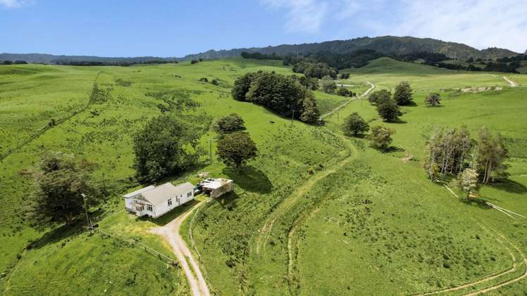 2051 Paparoa-Oakleigh Road Taipuha_22