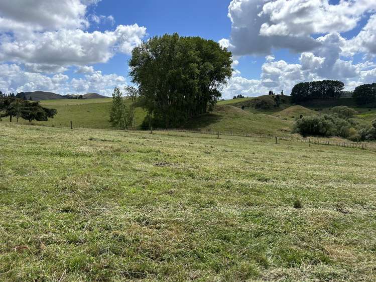 1018 Maihiihi Road Maihiihi_25