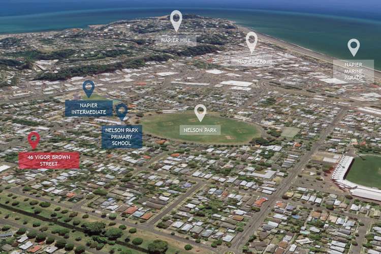 46 Vigor Brown Street Napier South_24