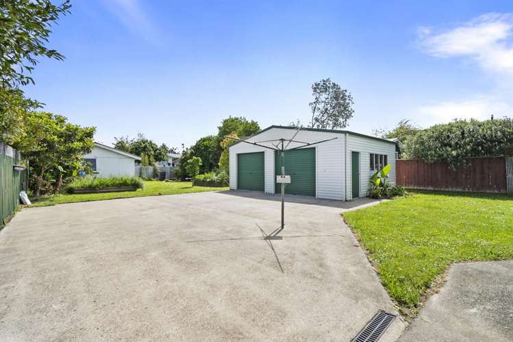 5 Hammond Street Bulls_14