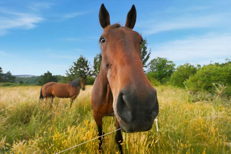 Address withheld Glentui_19