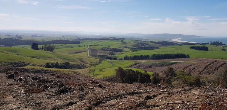Karoro Creek Road Kaka Point_5