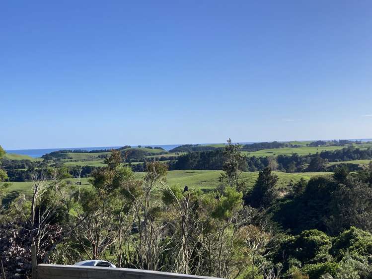 41A Wharekauri Road Mimi_6