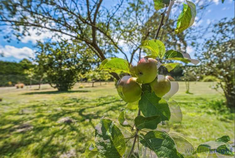 143 Karanga Road Dunsandel_28