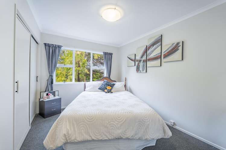 10 Birch Street Gleniti_19