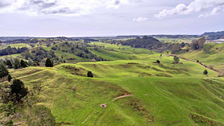 636 Otara Road Opotiki_1