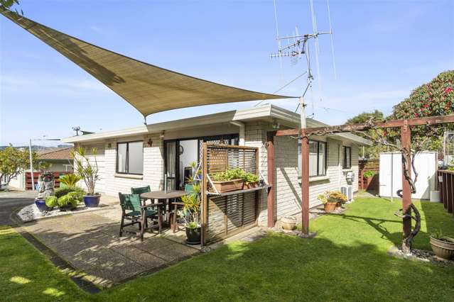 175 Te Hono Street Maungatapu_1