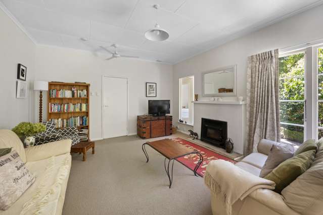 20 Thompson Road Bluff Hill_1