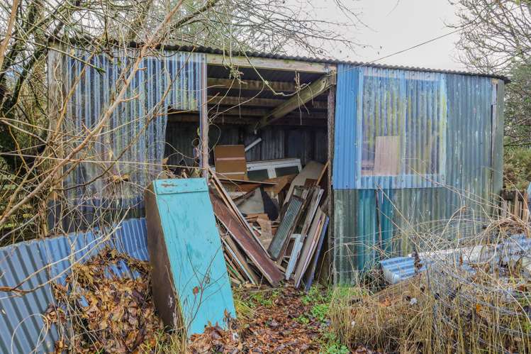 854 Nelson Creek Road Hochstetter_18