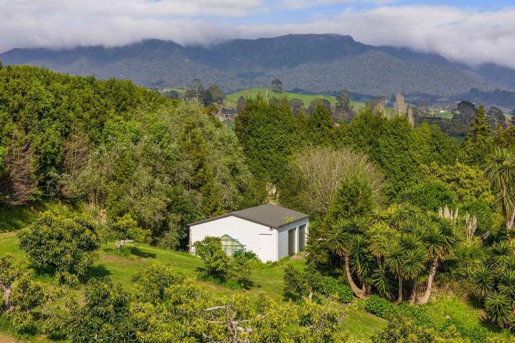 262A Work Road Katikati_23