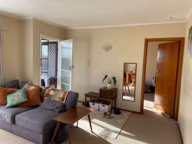 Pooley Street Pakuranga Heights_3