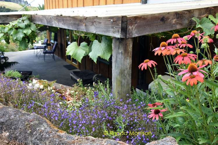 318 Franklin Road Paparoa_39