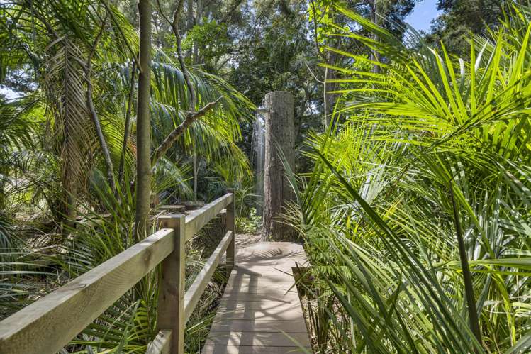 37 Ward Road Matakana_20