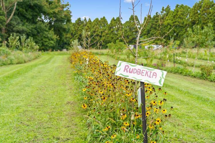 288 Oropi Gorge Road Oropi_31