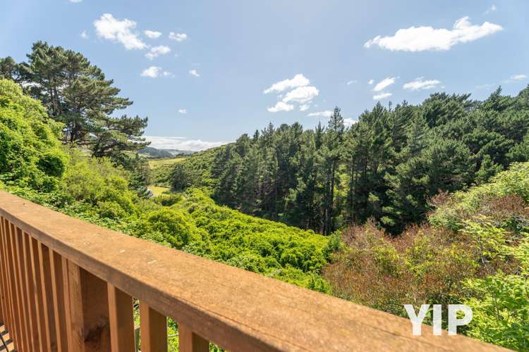 40b Wingfield Place Churton Park_11
