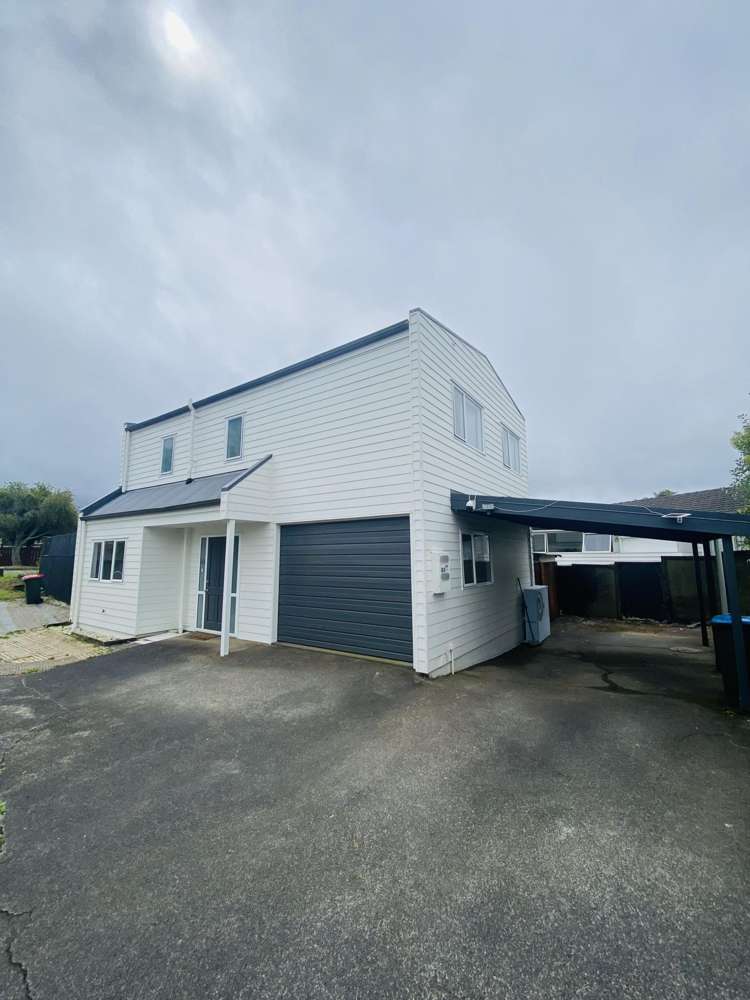 20 Motu Mt Wellington_0