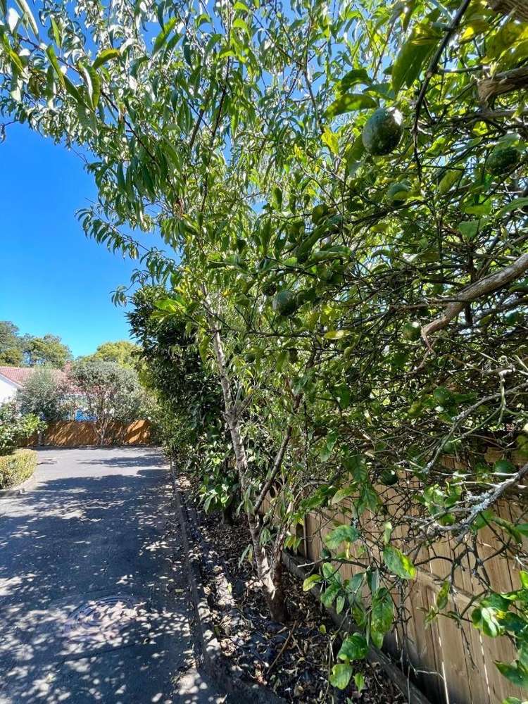 2/23 Carlton Street Hillsborough_19