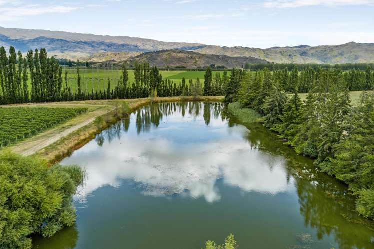 89 McPherson Road, Earnscleugh Alexandra_11