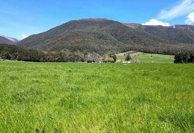 848 Palmer Road Springs Junction_9