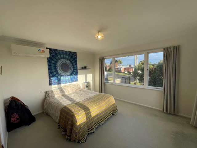 19 Sholson Street Putaruru_1