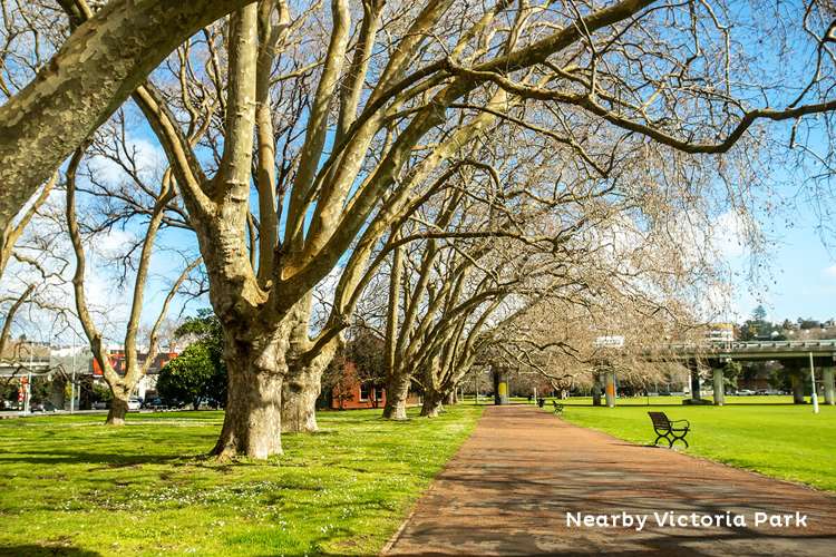 57 Napier Street Freemans Bay_18