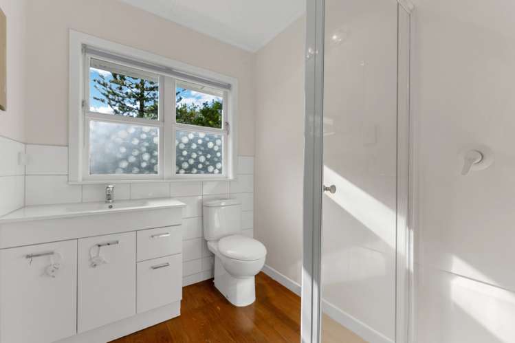 6 Tagor Street Glen Eden_11