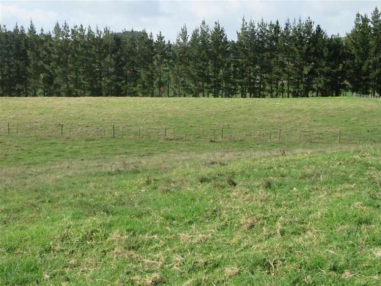 64 Ovens Road Matakohe_8