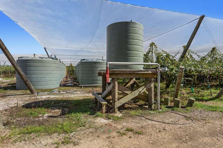 278 Paroa Road Whakatane Surrounds_6