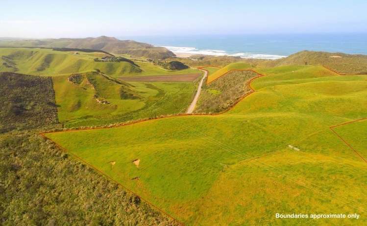 966 Omamari Road Dargaville Surrounds_9