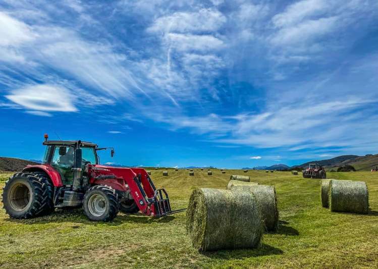 1338 Kakapo Road Te Anau_7