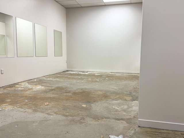 291 Barton Street Hamilton Central_4