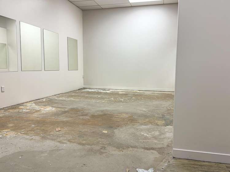 291 Barton Street Hamilton Central_4