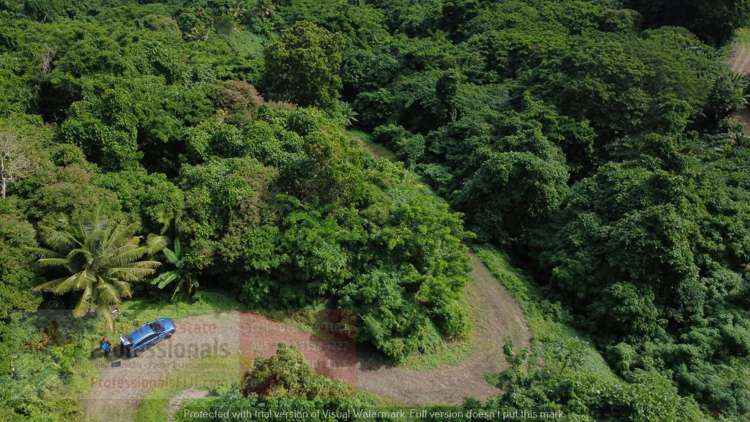 Address withheld Savusavu_20