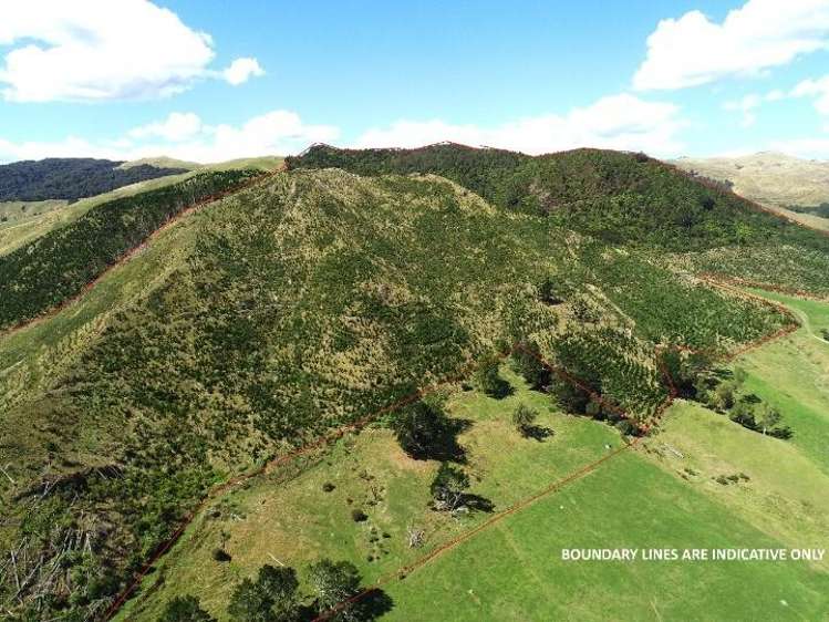 Wright Road Te Aroha_7