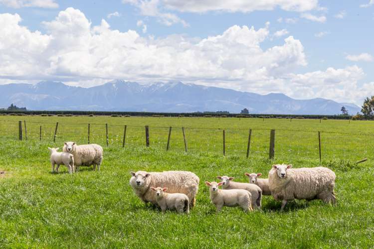 526 Auchenflower Road Darfield_3