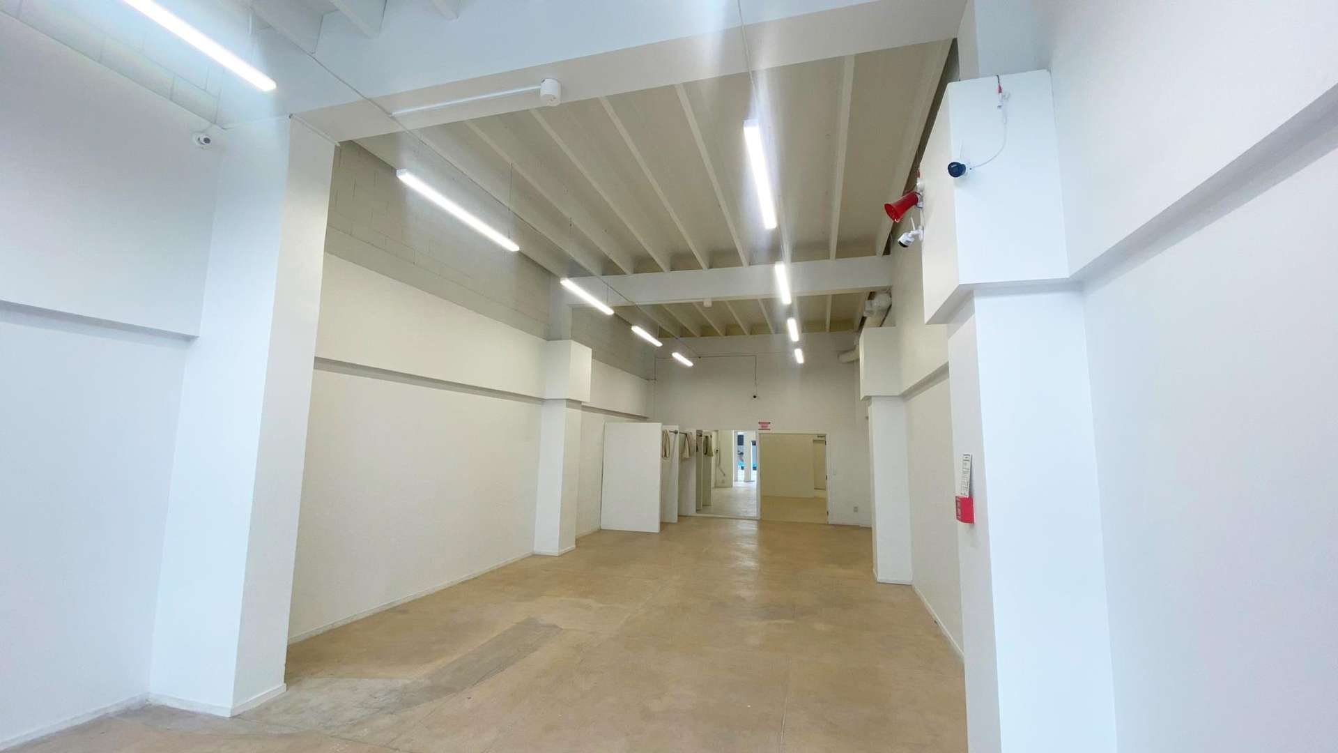 Tenancy 3/117 Willow Street Tauranga Central_0