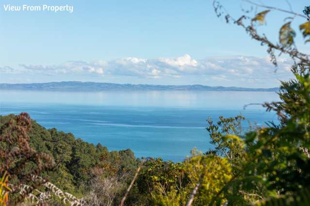 85 Tapu Rise Heights Tapu_2