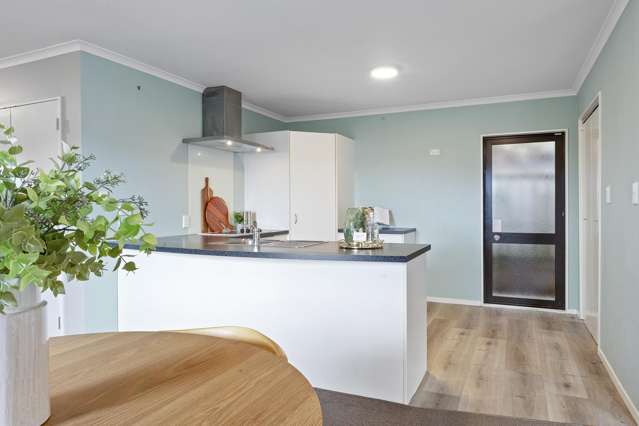 4/253 Saint Aubyn Street New Plymouth_3