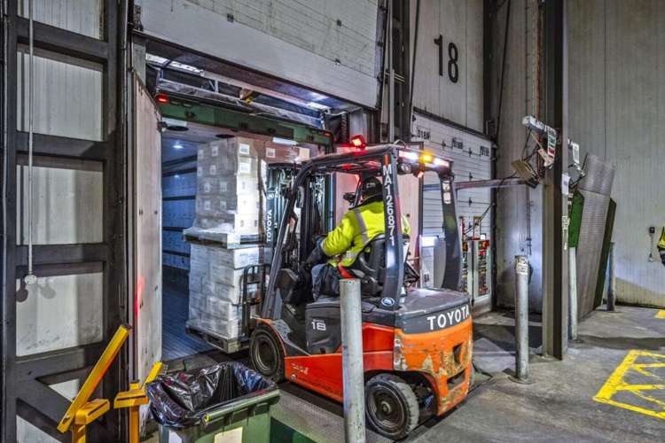 17 Nesdale Avenue Wiri_19