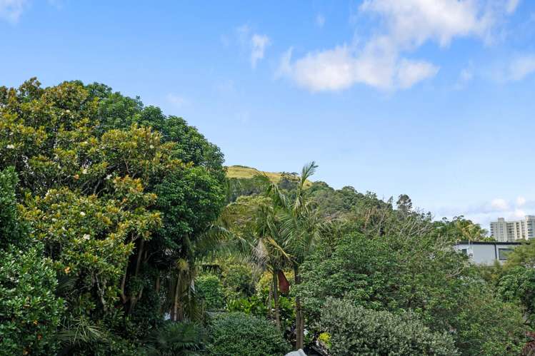 4 Poronui Street Mt Eden_9