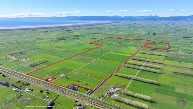 400 Hopai West Road Waitakaruru_2