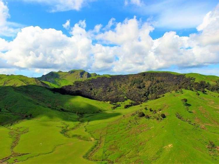 743 Ngaumu Road Wainuioru_5