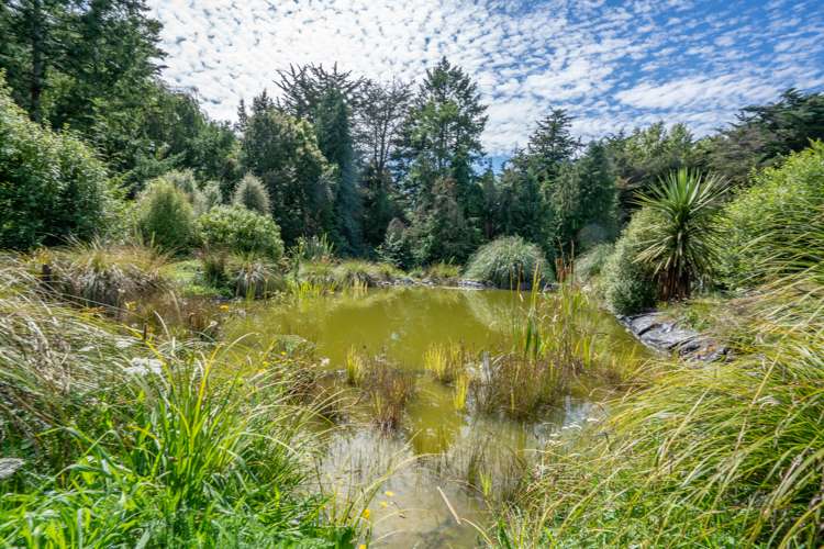 240 Forestry Road Ashley_23