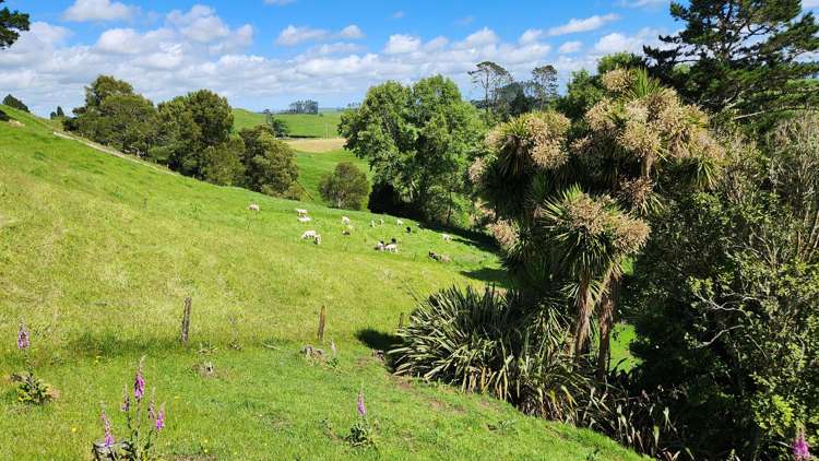 133 Kaimata Road Kaimata_17