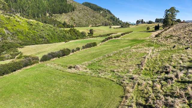 333 Packard Road Takaka_3
