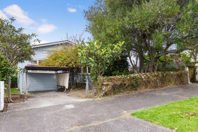 33 Chester Avenue Westmere_3